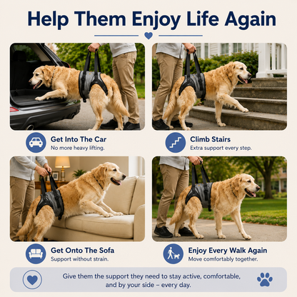 VitalPaw™ Dog Support Harness
